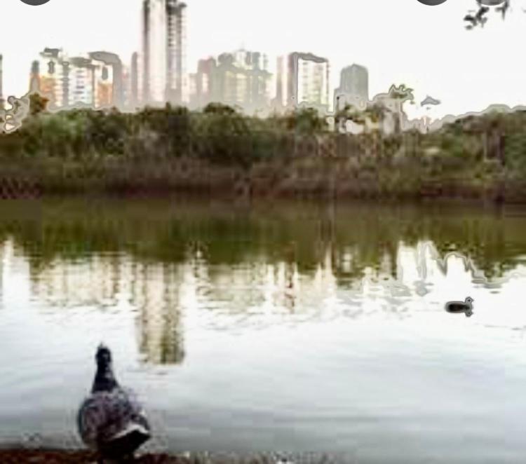 Encantador Com Shopping E Piscina Appartamento